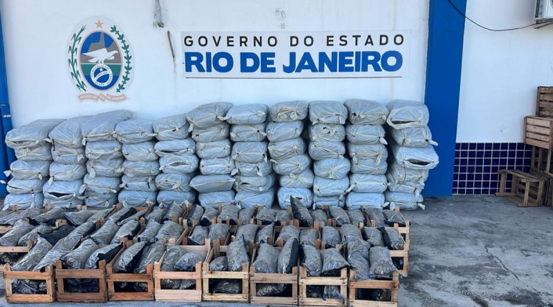 Mais 500 kg de maconha são apreendidos em perseguição na Dutra