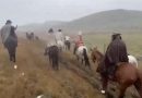 Serra do RS registra neve e temperatura perto de 0°C