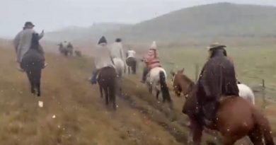 Serra do RS registra neve e temperatura perto de 0°C