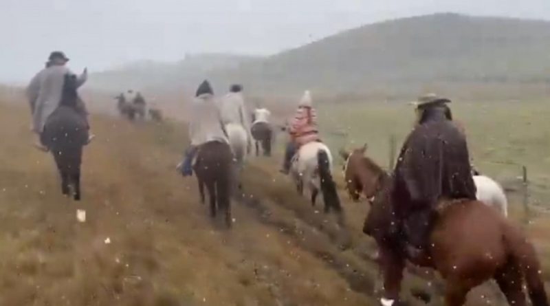 Serra do RS registra neve e temperatura perto de 0°C