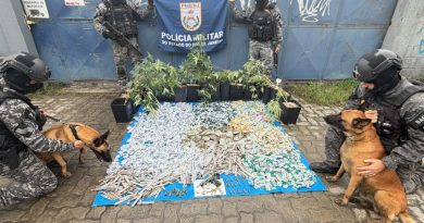 Operação apreende 18 pés de maconha e quase R$ 100 mil em drogas