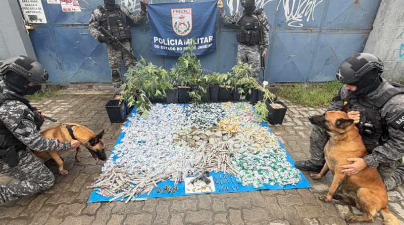 Operação apreende 18 pés de maconha e quase R$ 100 mil em drogas