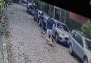 Homem é preso em flagrante após ameaçar e agredir mulher na Gávea