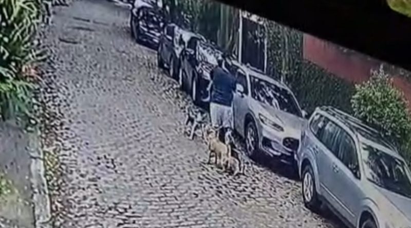 Homem é preso em flagrante após ameaçar e agredir mulher na Gávea