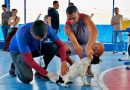 Belford Roxo promove o ‘Dia D de Vacinação Antirrábica’ para cães e gatos em 11 pontos neste sábado