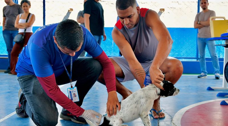 Belford Roxo promove o ‘Dia D de Vacinação Antirrábica’ para cães e gatos em 11 pontos neste sábado