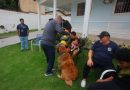 Prefeitura de Nova Iguaçu cria programa que transforma interação com cães em cuidado, acolhimento e bem-estar