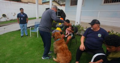 Prefeitura de Nova Iguaçu cria programa que transforma interação com cães em cuidado, acolhimento e bem-estar