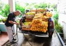 Agricultura Familiar fortalece alimentação escolar com produtos cultivados em Itaboraí