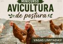 Itaboraí promove minicurso sobre avicultura de postura
