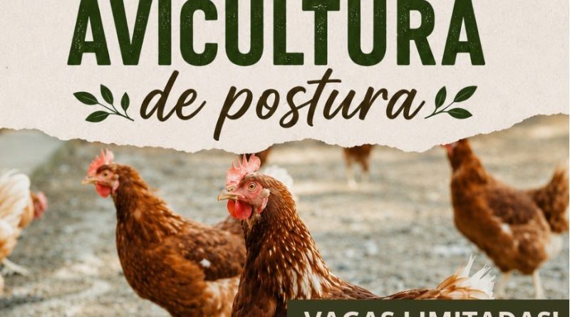 Itaboraí promove minicurso sobre avicultura de postura