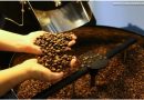 Produção de café deve fechar 2026 com 67,6 milhões de sacas, maior da série histórica