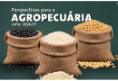 Safra de grãos 2026/27 deve atingir 366,6 milhões de toneladas. Projeção é da Conab