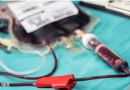Doação de medula óssea traz esperança e vida. Conheça histórias e saiba como doar
