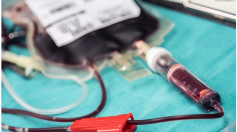 Doação de medula óssea traz esperança e vida. Conheça histórias e saiba como doar