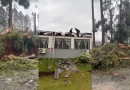 Paraná registra dois tornados em menos de 24 horas