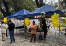 Prefeitura de Petrópolis promove ação de conscientização e valorização da vida na Praça Dom Pedro