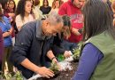 Petrópolis: Meio Ambiente promove ação de plantio e distribuição de mudas no Centro Administrativo