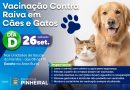 Pinheiral realiza Dia D de Vacinação contra a Raiva