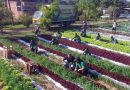 Prefeitura de Magé abre Cadastro do Turismo Rural no município