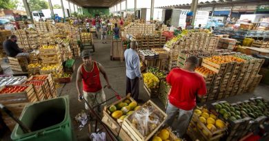 Ceasa-RJ recebe ação de empregabilidade nesta quarta-feira (02/09)
