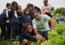 Projeto Alimentação Saudável completa dois anos e amplia ações para alunos da rede municipal de ensino de Volta Redonda
