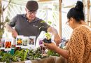 Prefeitura de Maricá oferece produtos locais na Feira da Agricultura Familiar neste sábado (5/9)