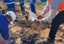 Estudo financiado pela Faperj usa inteligência artificial para geração de energia a partir de resíduos de aterros sanitários