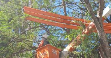 Enel Rio realiza mais de 360 mil podas na sua área de concessão no primeiro semestre deste ano
