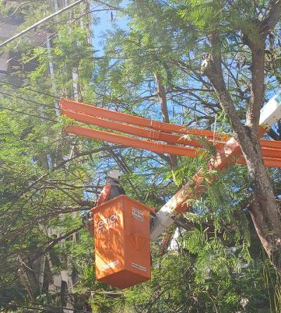 Enel Rio realiza mais de 360 mil podas na sua área de concessão no primeiro semestre deste ano