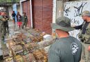 Equipes da Prefeitura de Nova Iguaçu apreendem 47 aves silvestres mantidas irregularmente em casa em Vila de Cava