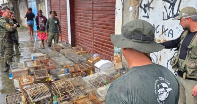 Equipes da Prefeitura de Nova Iguaçu apreendem 47 aves silvestres mantidas irregularmente em casa em Vila de Cava