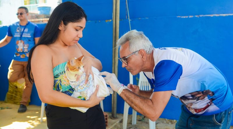 Belford Roxo promove o ‘Dia D de Vacinação&nbsp;Antirrábica’ para cães e gatos neste sábado