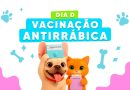 Dia D de Vacinação Antirrábica acontece neste sábado (26) em São Pedro da Aldeia
