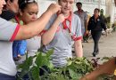 Itatiaia: Horto Municipal em ação pelo Dia da Árvore, distribui mudad no Groupe SEB