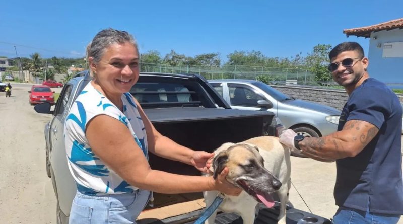 Búzios vacina 3.572 cães e gatos contra a raiva