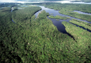 Brasil alcança menores taxas de desmatamento da série histórica na Amazônia e no Cerrado