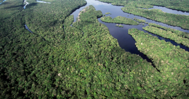 Brasil alcança menores taxas de desmatamento da série histórica na Amazônia e no Cerrado