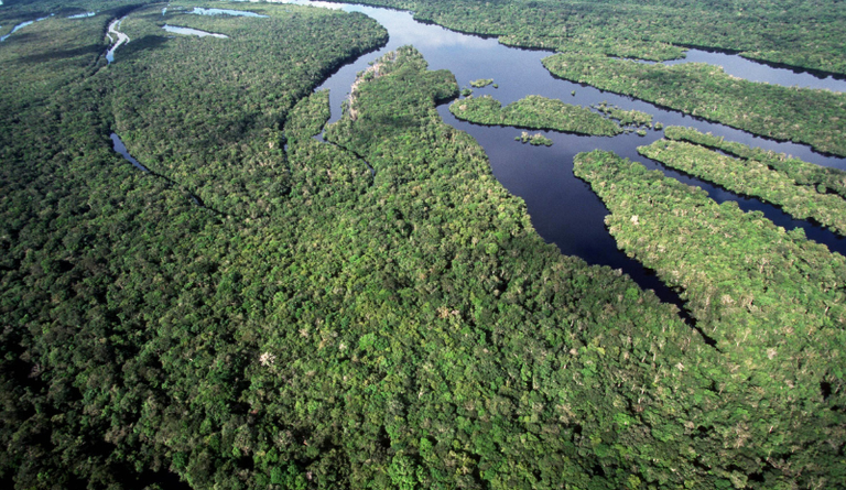 Brasil alcança menores taxas de desmatamento da série histórica na Amazônia e no Cerrado