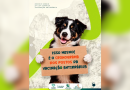 Guapimirim divulga novas etapas da vacinação antirrábica animal