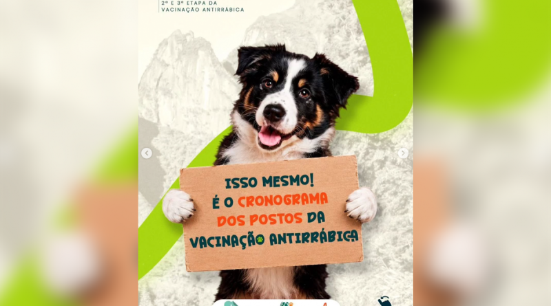 Guapimirim divulga novas etapas da vacinação antirrábica animal