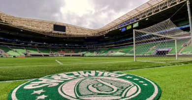 Fluminense e Palmeiras entram em acordo por ingressos na Libertadores