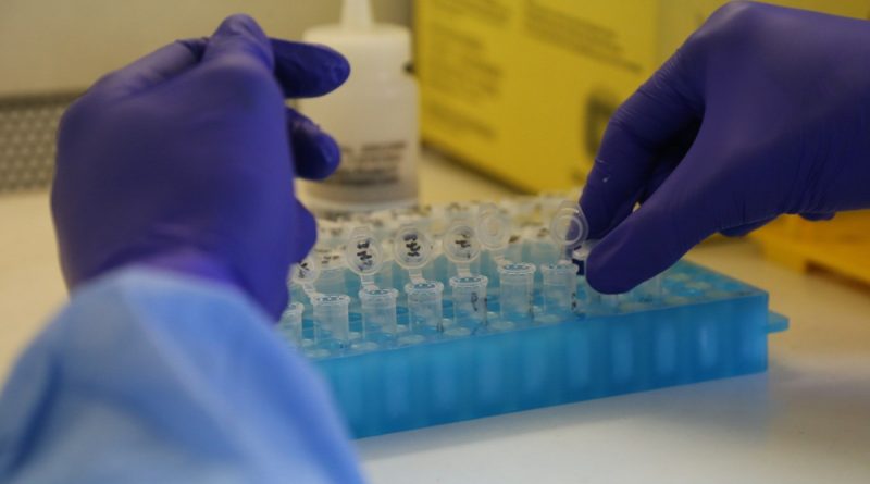 Casos de mpox avançam no Rio e superam total de 2025