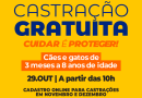 Angra abre vagas para castração gratuita de cães e gatos em novembro e dezembro