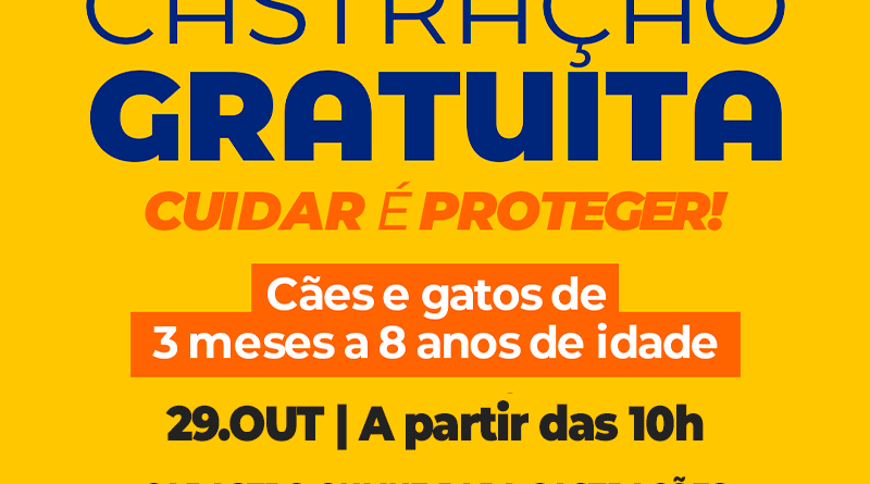Angra abre vagas para castração gratuita de cães e gatos em novembro e dezembro