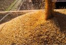 Conab realiza pregão para transporte de 9,9 mil toneladas de milho