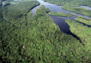 Brasil anuncia a maior queda de desmatamento na Amazônia e no Cerrado desde 1988