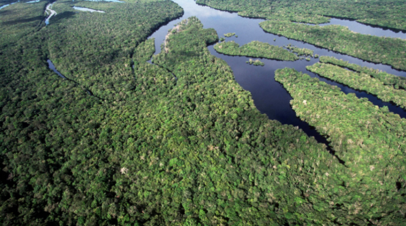 Brasil anuncia a maior queda de desmatamento na Amazônia e no Cerrado desde 1988