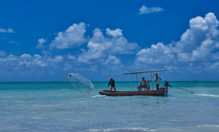 Pesca Artesanal: seleção pública vai destinar R$ 120 milhões para projetos de inovação
