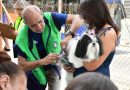 Nova Iguaçu vacina cães e gatos contra a raiva neste sábado (17)